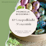 Wiosenna Promocja -10% 